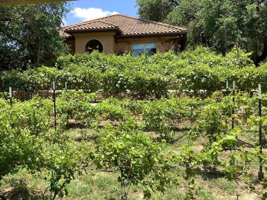 Villa At Cibolo Chase, A Private Resort With Pool Bulverde Extérieur photo